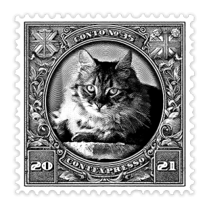 035_o_dono_e_o_gato_v2026_400px