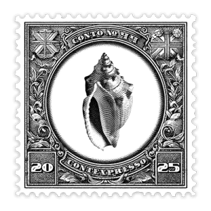 044_a_concha_de_seda_v2026_400px