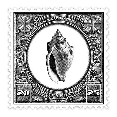 044_a_concha_de_seda_v2026_400px